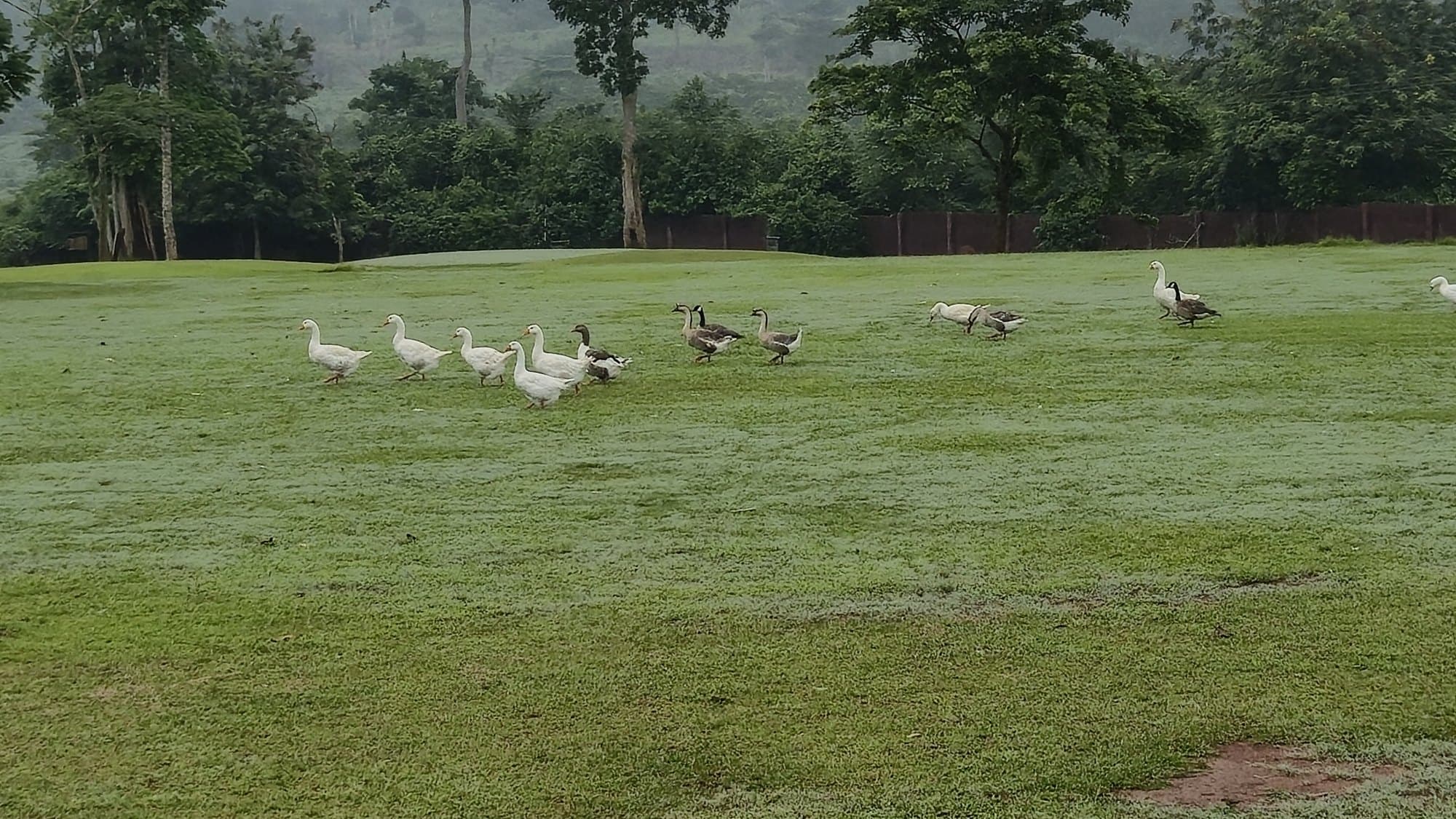 Safari Valley Resort, Ghana