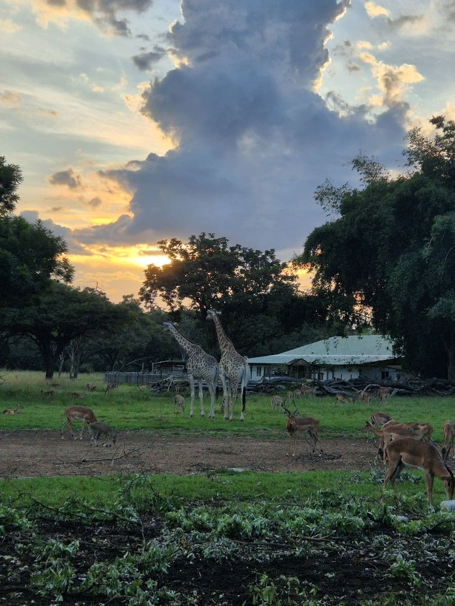 Zimbabwe